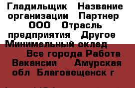 Гладильщик › Название организации ­ Партнер, ООО › Отрасль предприятия ­ Другое › Минимальный оклад ­ 20 000 - Все города Работа » Вакансии   . Амурская обл.,Благовещенск г.